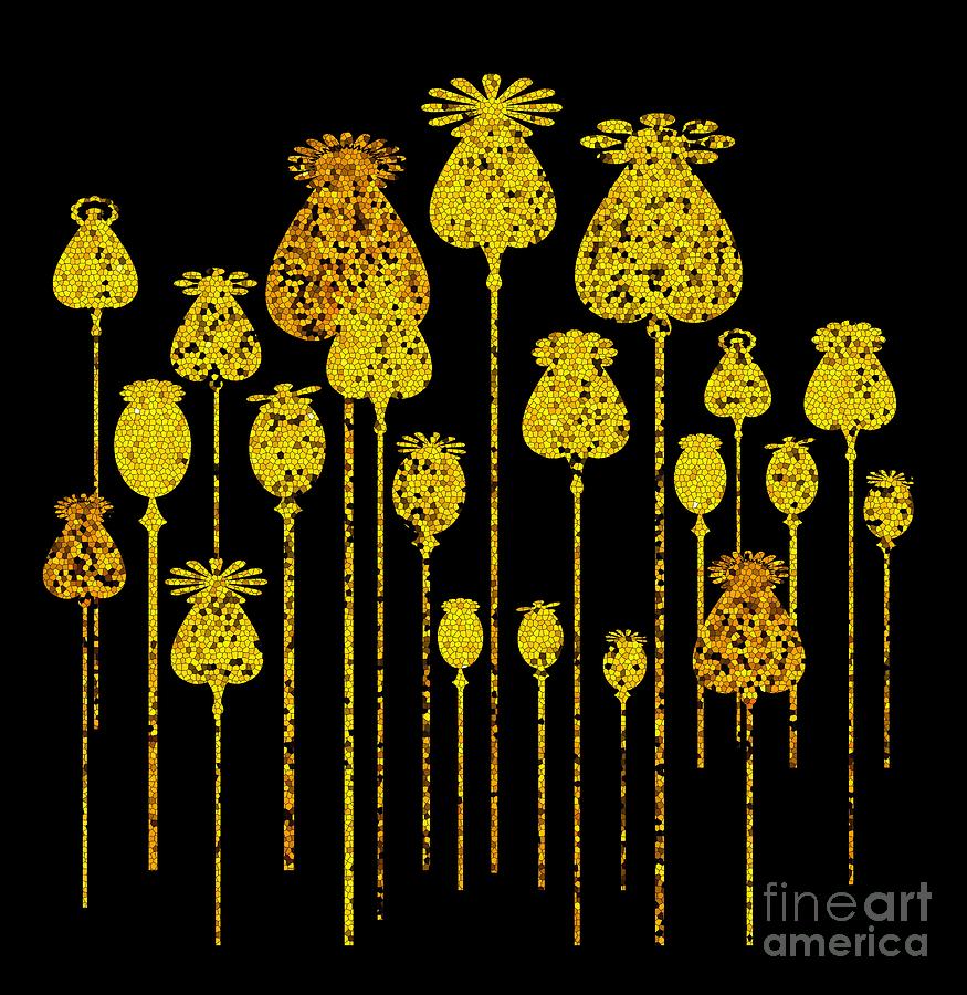 Golden Poppy Heads Digital Art by Zaira Dzhaubaeva