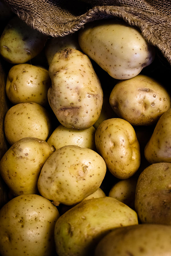 Potato Photograph - Golden Potatoes by Colleen Kammerer