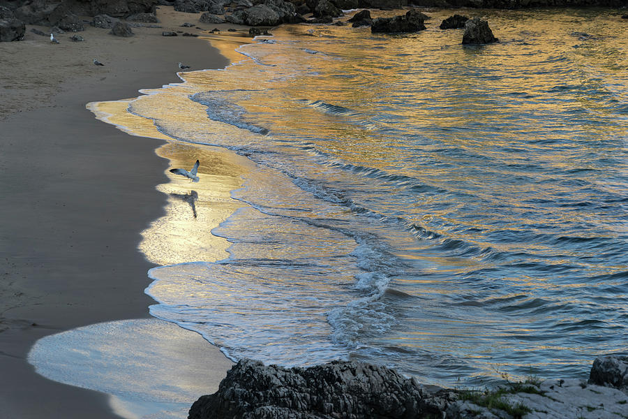 Golden Light at Praia da Rainha - Queens Beach - in Cascais Portugal Photograph by Georgia Mizuleva
