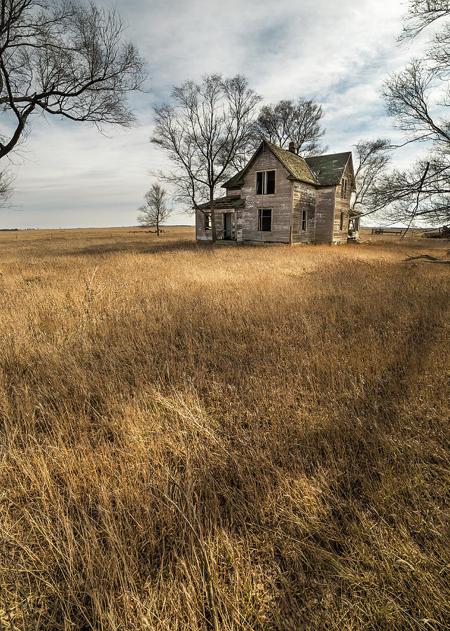 Prairie Photograph - Golden Prairie  by Aaron J Groen