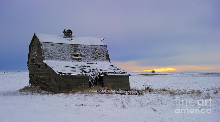 Golden Prairie Hours.. Photograph by Nina Stavlund