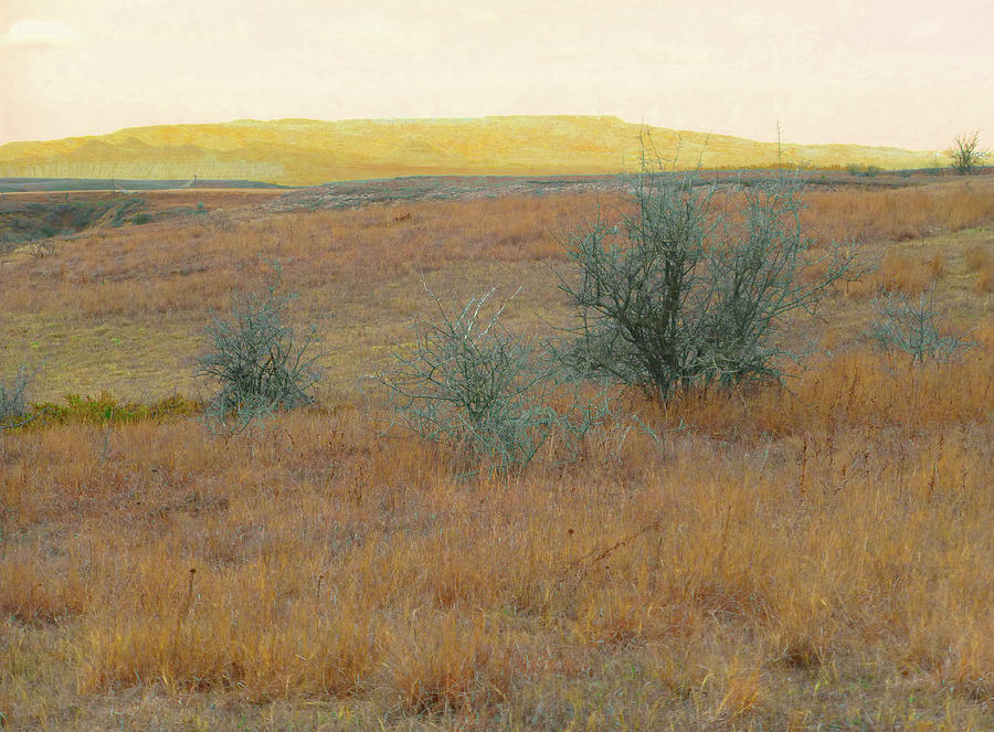 Golden Prairie Reverie Photograph by Cris Fulton