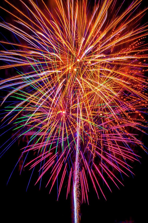 Independence Day Photograph - Golden Purple Fireworks by Garry Gay