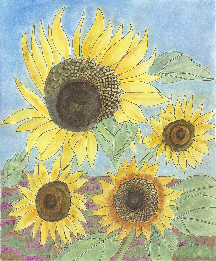 Flower Drawing - Golden Quartet by Arlene Crafton
