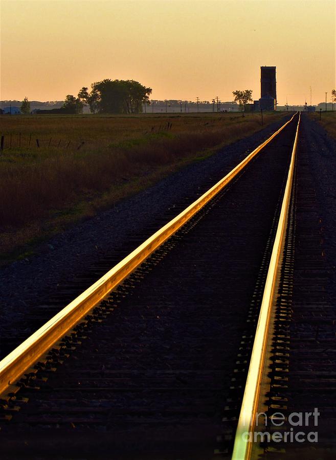Rose Golden Railroad Tracks in Rural North Dakota Photograph by Delynn Addams