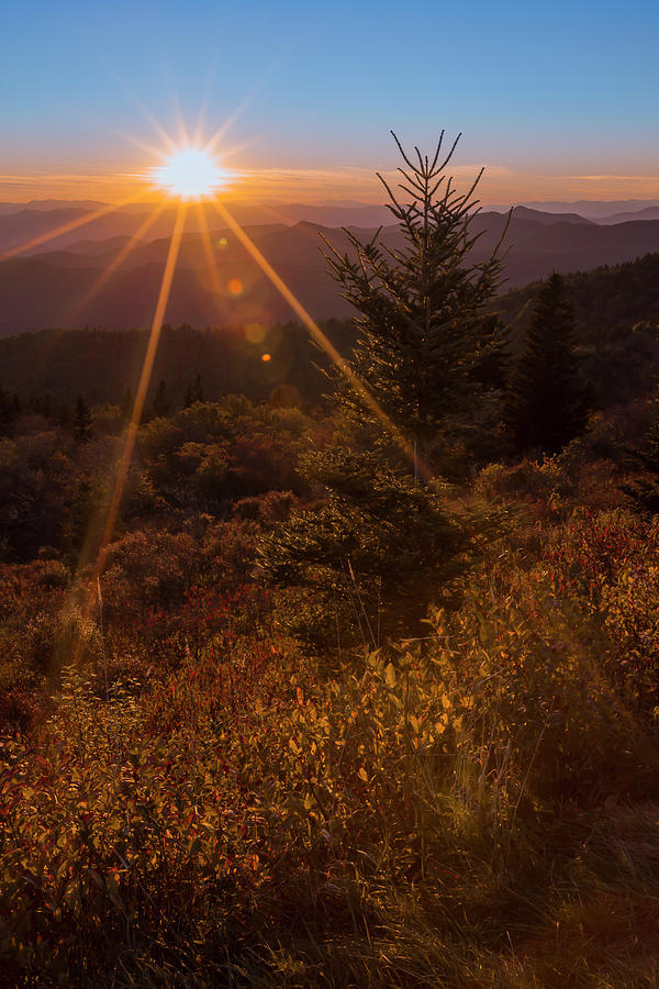 Golden Rays On The Parkway Photograph