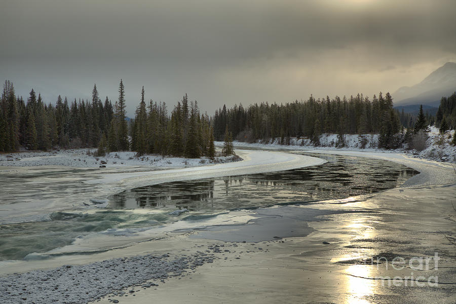 Golden Reflections In The Athabasca River Photograph by Adam Jewell
