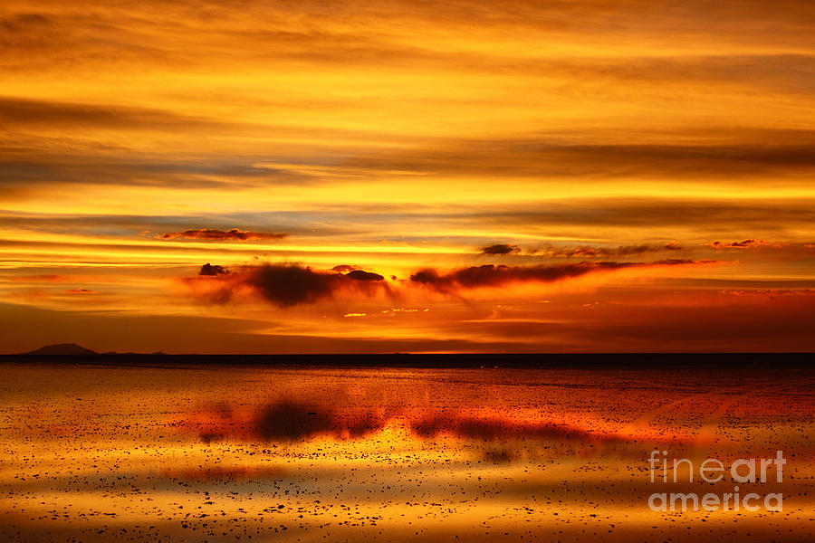 Abstract Photograph - Golden Reflections  by James Brunker