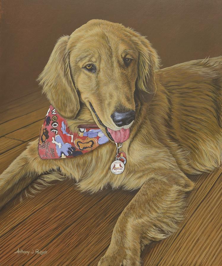 Golden Retriever Painting by Anthony J Padgett