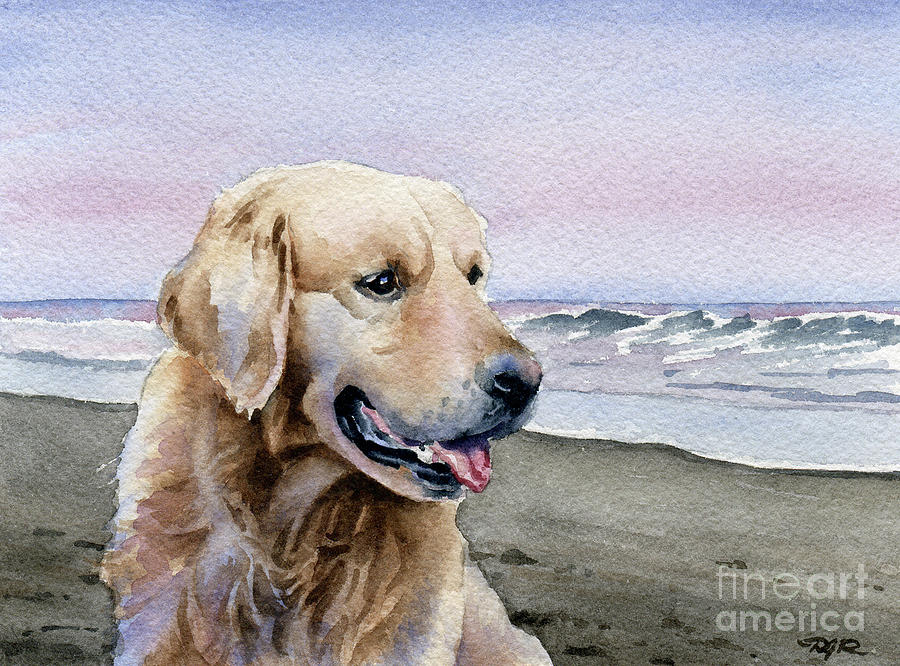 Beach Painting - Golden Retriever at the Beach by David Rogers