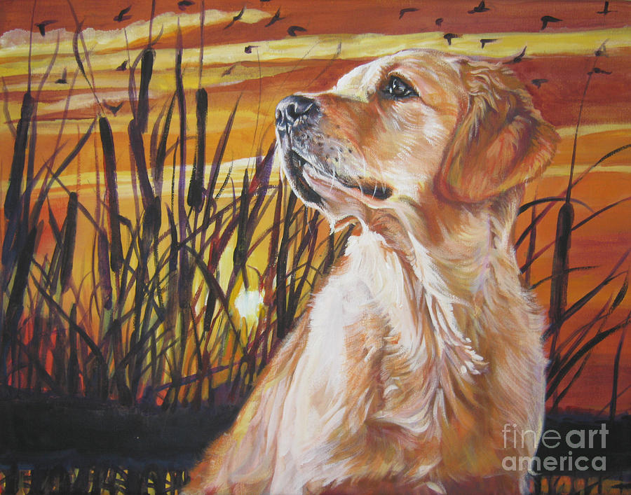 Sunset best sale golden retrievers