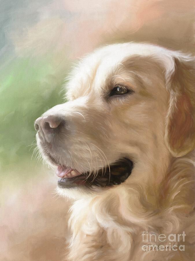 Dog Painting - Golden Retriever by Tobiasz Stefaniak