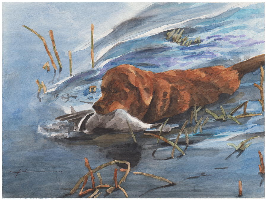 Golden Retriever With Duck Drawing by Mike Theuer Golden Retriever With Duck Drawing by Mike Theuer