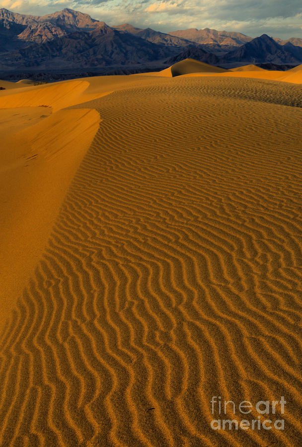 Death Valley National Park Photograph - Golden Ripples by Adam Jewell