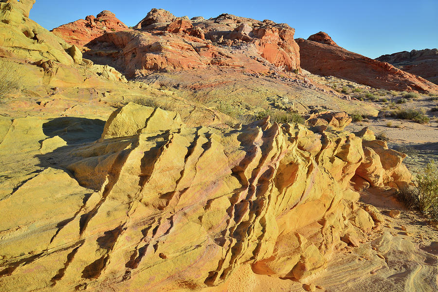 Golden Ripples In Wash 3 At Sunrise In Valley Of Fire Photograph