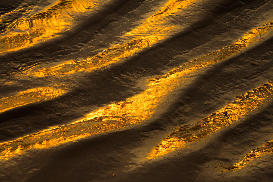 Golden Ripples Photograph by Irwin Barrett