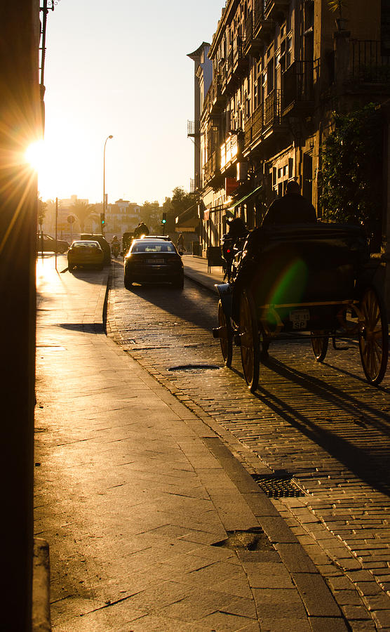 Golden Roads at sunset Photograph by AM FineArtPrints