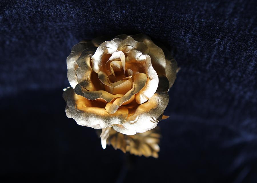 Golden Rose  Photograph by Sladjana Lazarevic