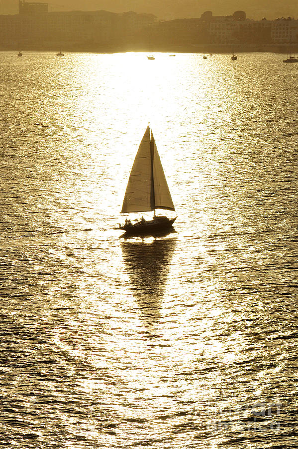 Golden Sail Photograph by Robert WK Clark