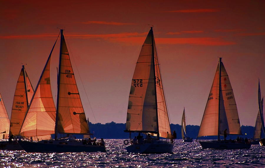 Golden Sails Photograph by Cheryl Cencich - Fine Art America