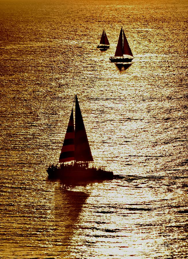 Golden Sails  Photograph by Debra Banks