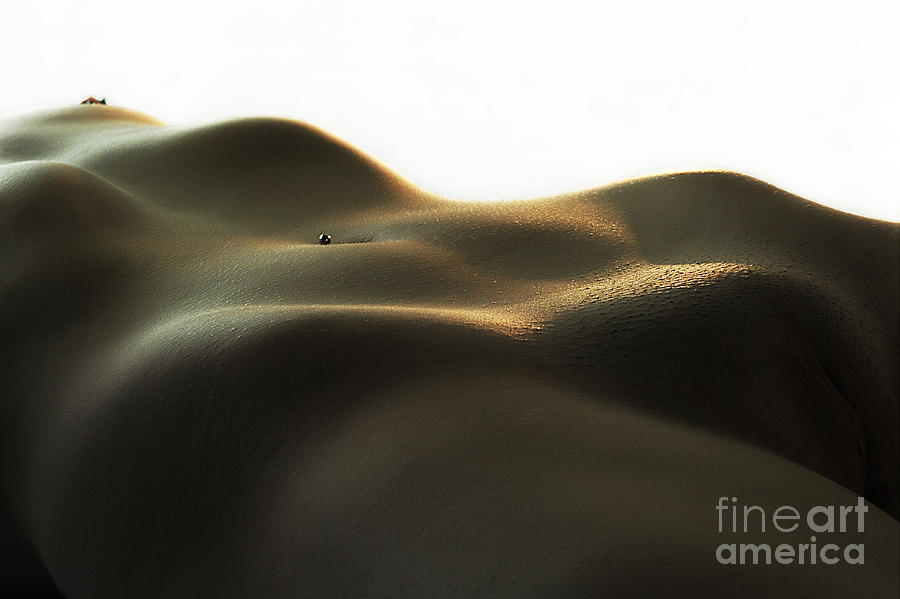 Golden sand dunes Photograph by Robert WK Clark