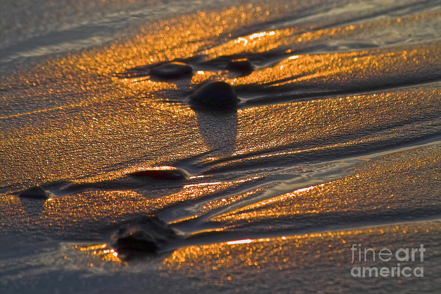 Beach Photograph - Golden sand  by Heiko Koehrer-Wagner
