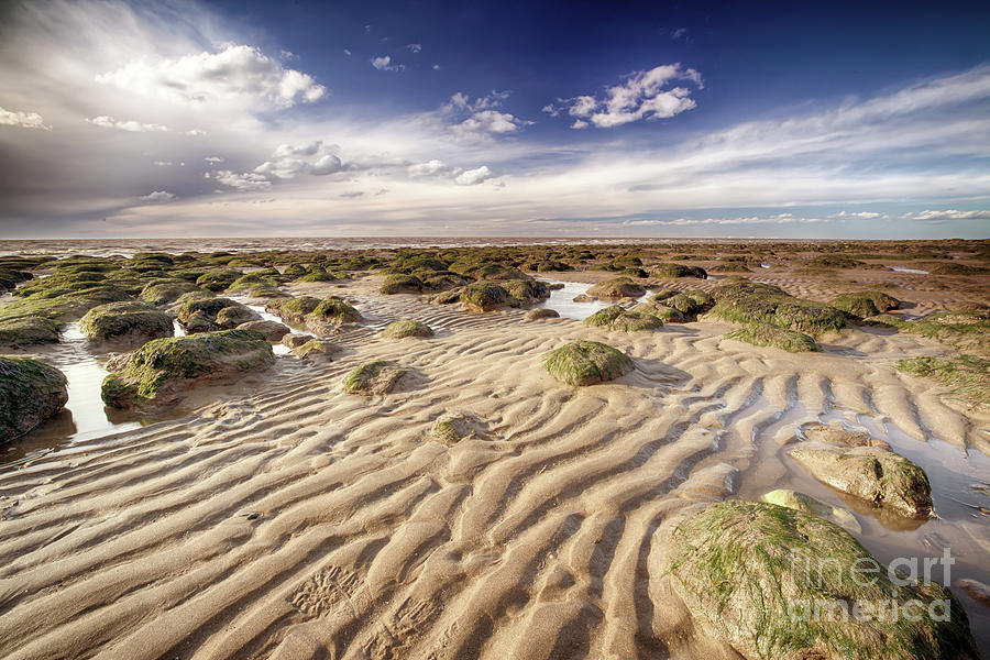 Golden sand lines and seaweed rocks of Norfolk Photograph by Simon Bratt