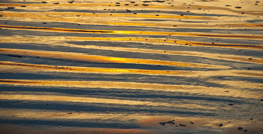 Beach Photograph - Golden sand on beach by Brian Kinney