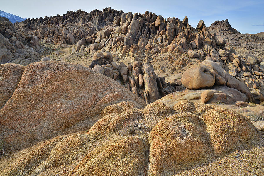 Golden Sands of Alabama Hills Photograph by Ray Mathis