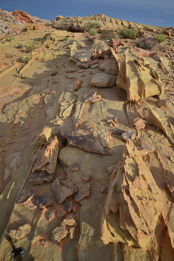 Golden Sandstone Of Valley Of Fire Photograph