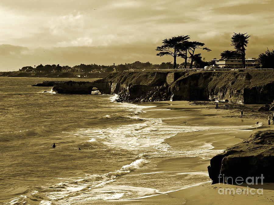 Golden Santa Cruz Beach Photograph by Carol Groenen