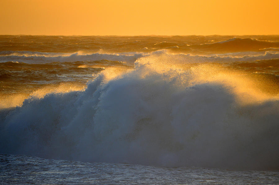 Golden Seaside Energy Photograph by Dianne Cowen Cape Cod Photography