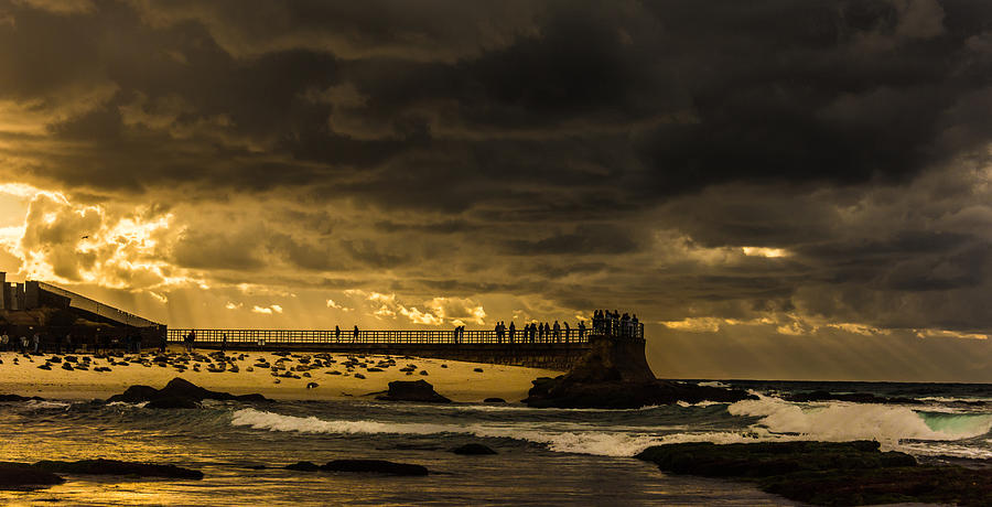 Golden Shores Photograph by David Downs