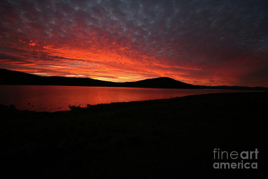Golden Skies - Tasmania Australia by Julian Wicksteed Golden Skies - Tasmania Australia by Julian Wicksteed