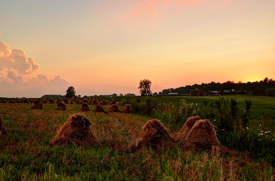 Golden Sky With Hay Bales Photograph by Ann Bridges