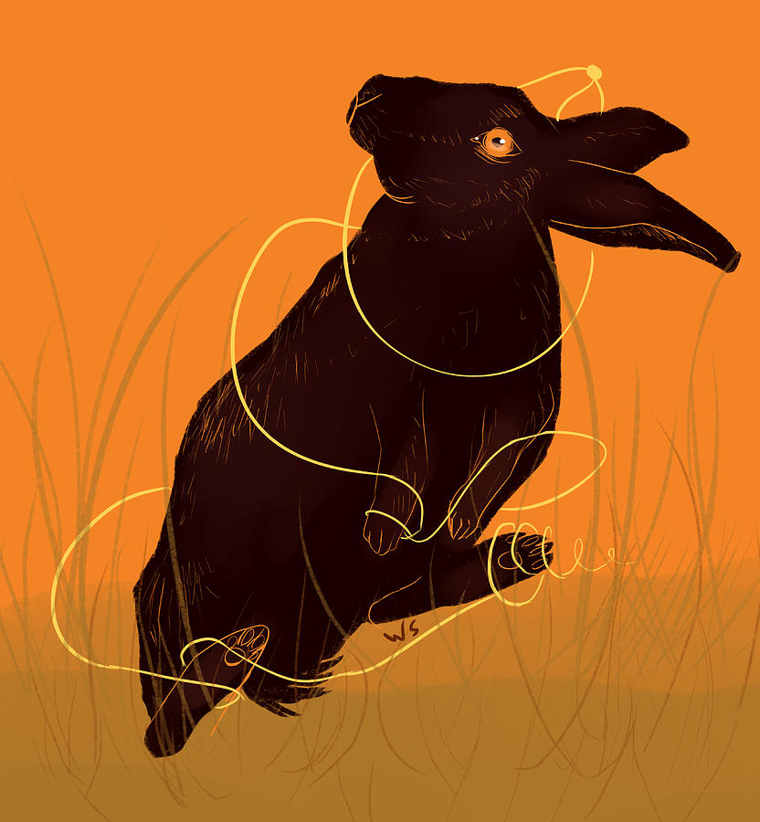 Golden Snare by Willow Schafer Golden Snare by Willow Schafer