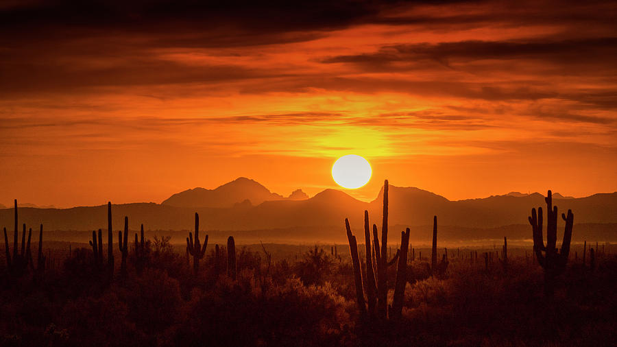 Golden Southwest Sunset  Photograph by Saija Lehtonen