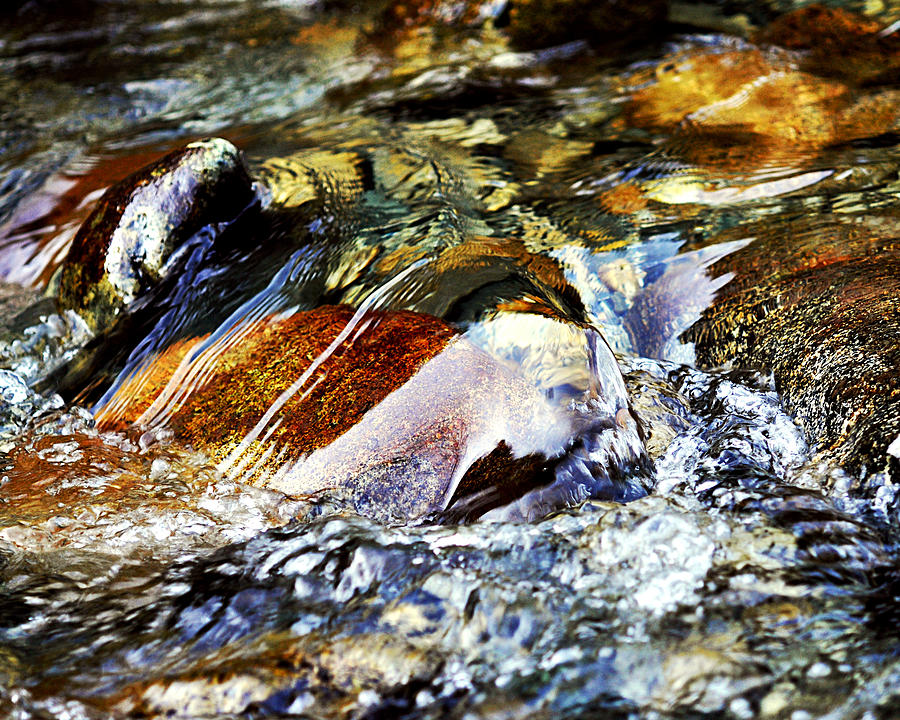 Golden Splash Photograph by Marion McCristall