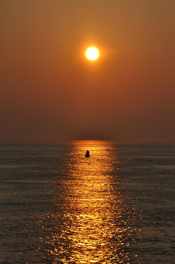 Sunset Photograph - Golden Sun by Bill Cannon