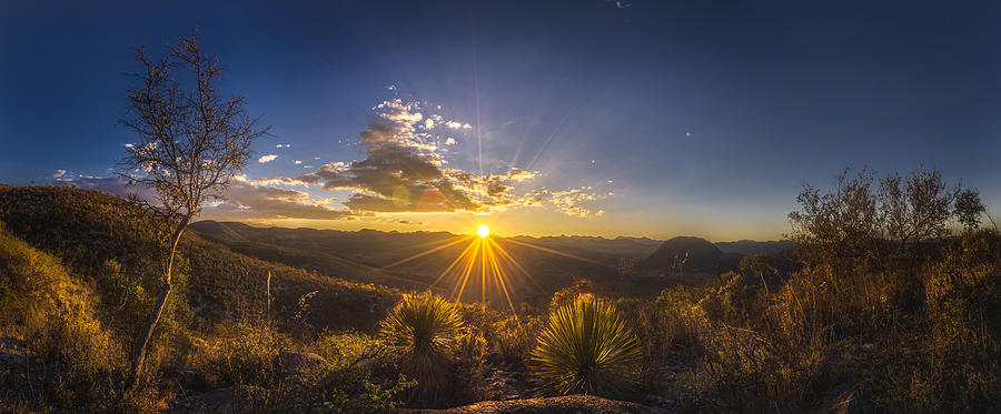 Nature Photograph - Golden Sunlight Desert Scene by Luis Lyons