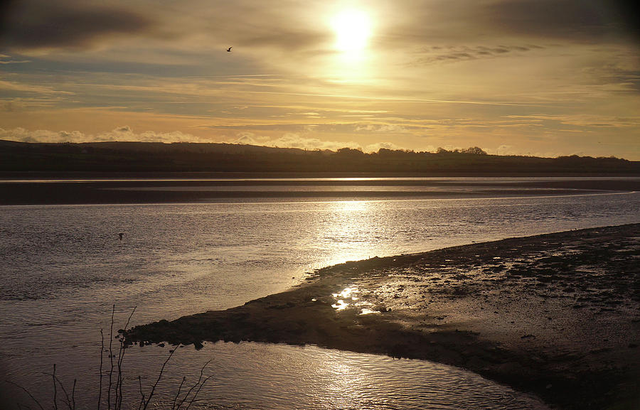 Golden Sunlight on the Estuary Photograph by Mark Woollacott - Fine Art ...