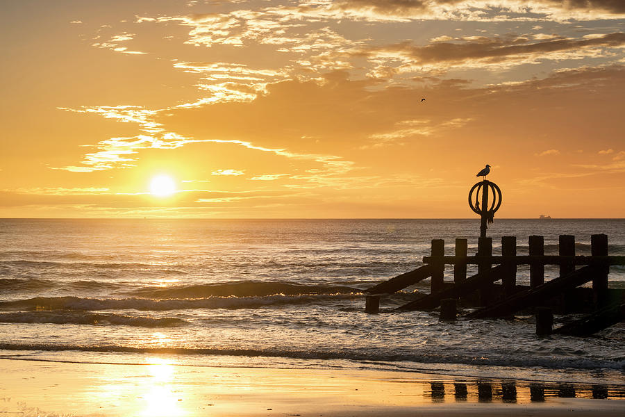 Golden Sunrise at Aberdeen Beach Photograph by Veli Bariskan