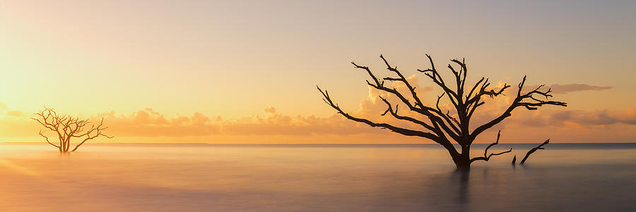 Golden sunrise at Botany Bay Photograph by Stefan Mazzola