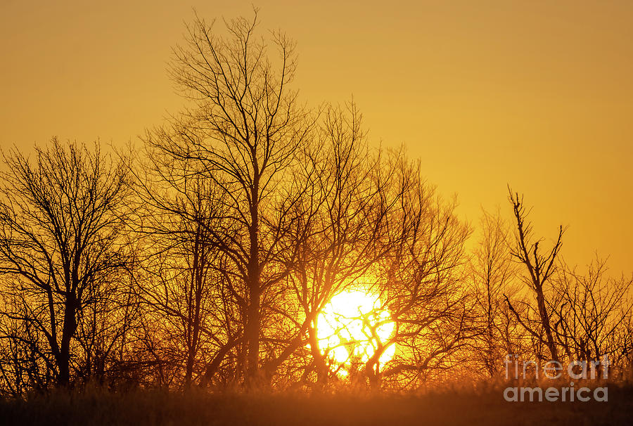 Golden Sunrise Photograph by Cheryl Baxter
