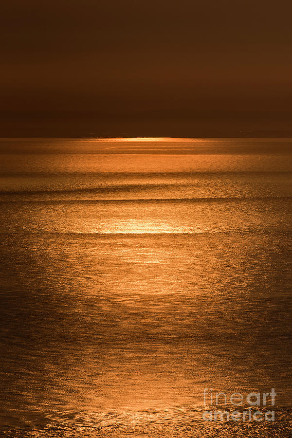 Golden Sunrise Photograph by Clayton Bastiani