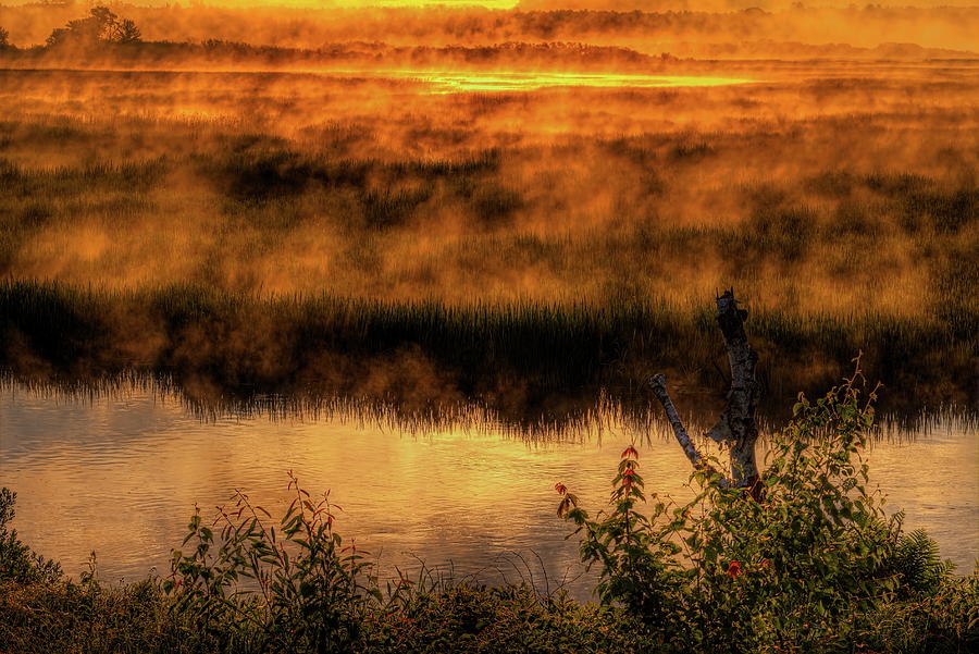 Golden Sunrise Fog Photograph by Dale Kauzlaric