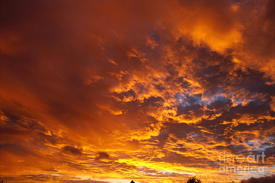 Sunset Photograph - Golden Sunrise by Mary Van de Ven - Printscapes