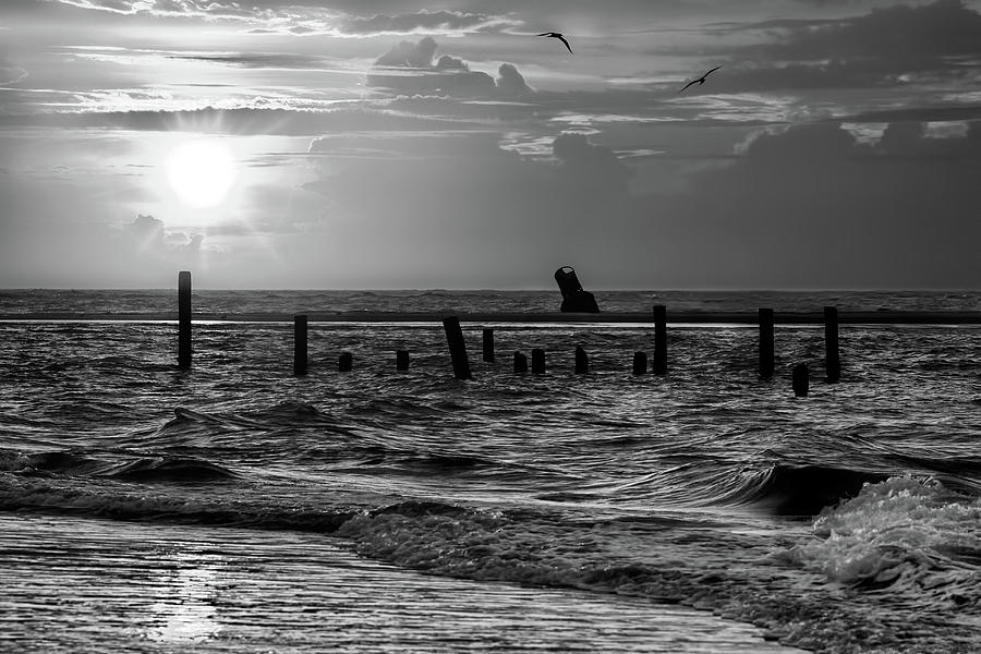 Golden Sunrise on the Outer Banks  BW Photograph by Dan Carmichael