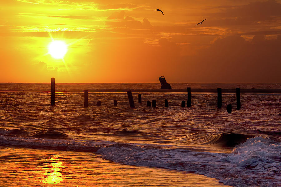 Golden Sunrise on the Outer Banks Photograph by Dan Carmichael